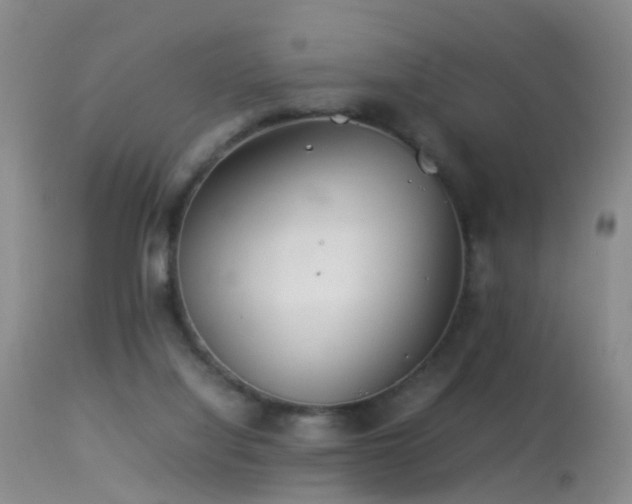 X0000113330068200909141437