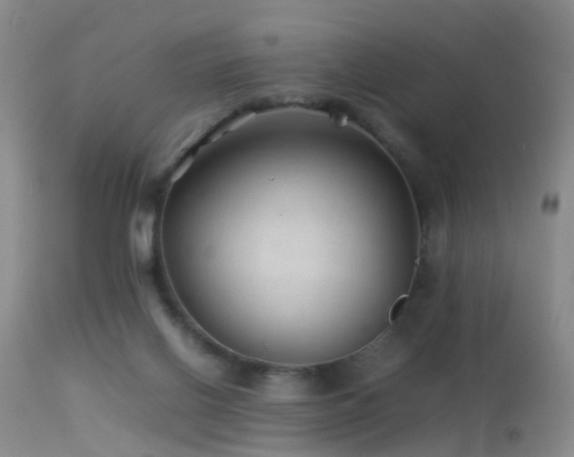 X0000113330070200909141437