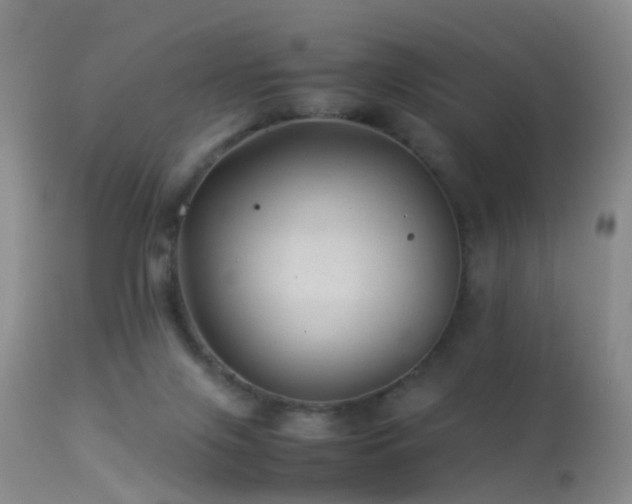 X0000113330071200909141437