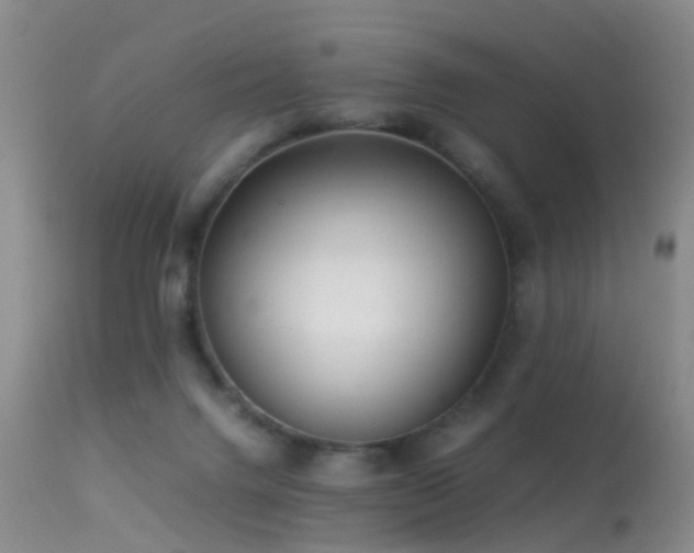 X0000113330072200909141437