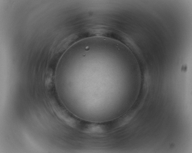 X0000113330073200909141437