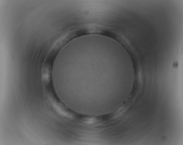 X0000113330074200909141437