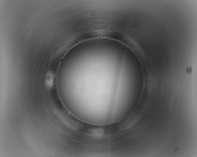 X0000113330075200909141437
