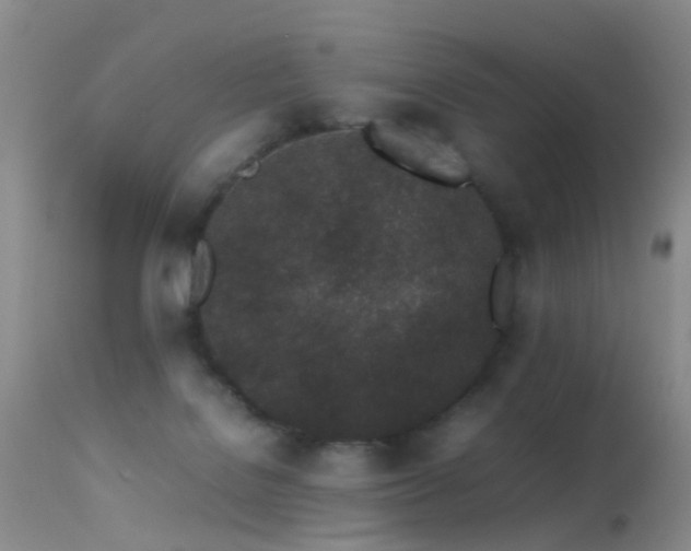 X0000113330076200909141437