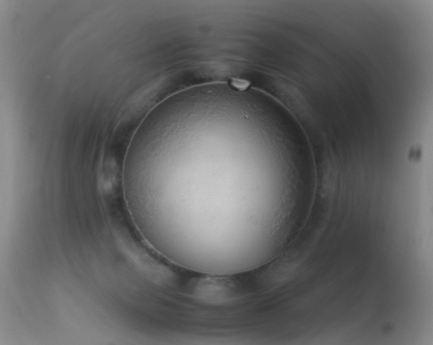 X0000113330077200909141437