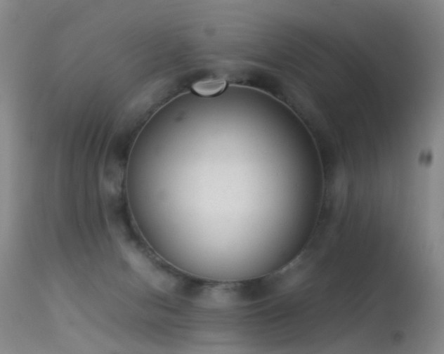 X0000113330078200909141437