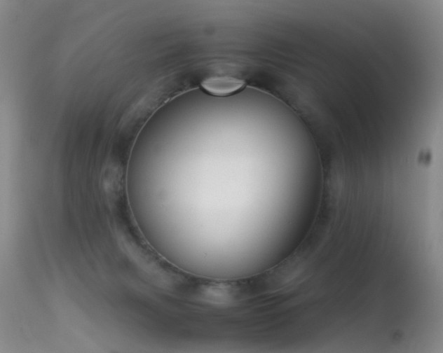 X0000113330079200909141437