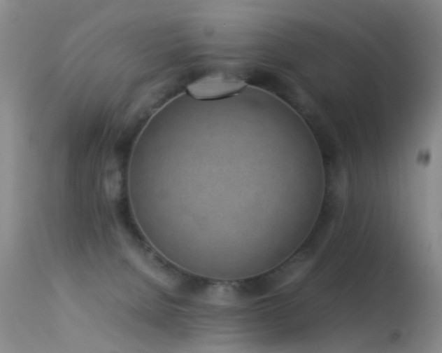X0000113330080200909141437