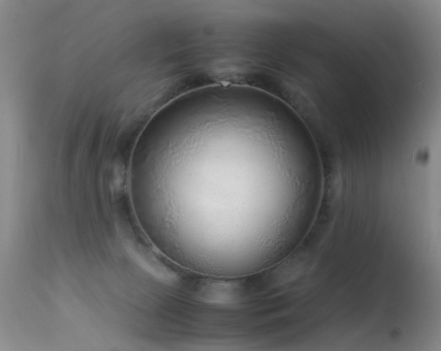 X0000113330081200909141437