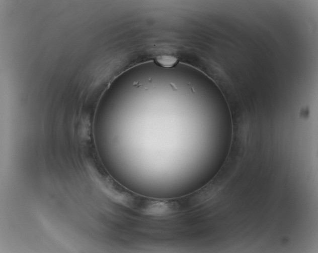 X0000113330083200909141437