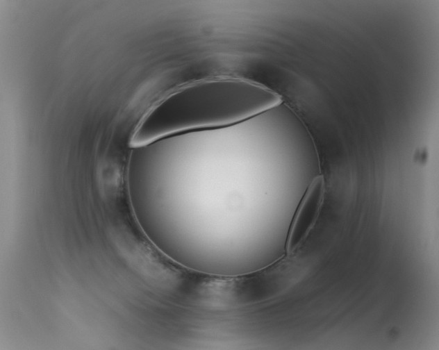 X0000113330084200909141437