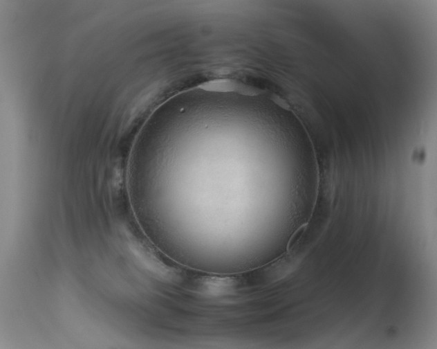 X0000113330085200909141437