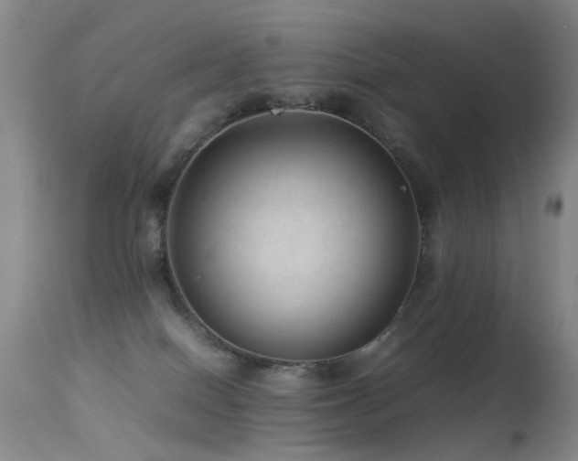 X0000113330086200909141437