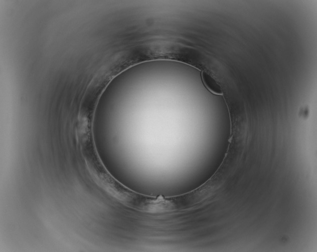 X0000113330087200909141437