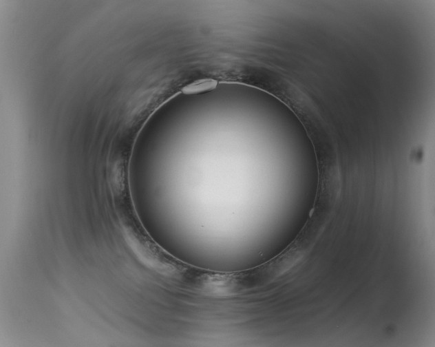X0000113330088200909141437