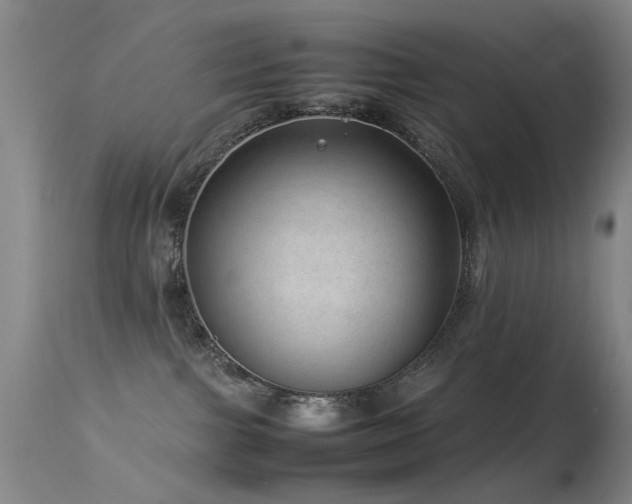 X0000113330091200909141437