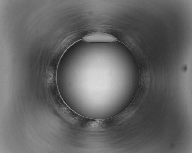 X0000113330092200909141437