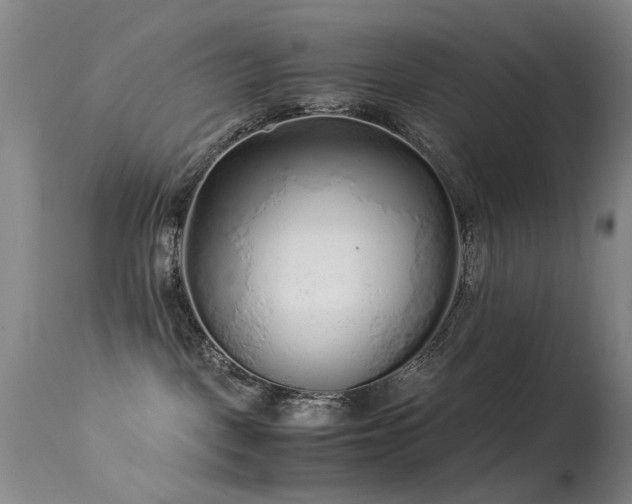 X0000113330093200909141437