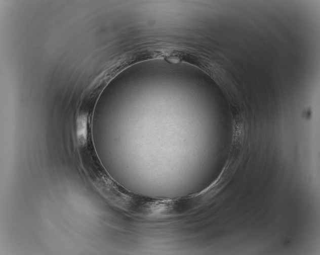 X0000113330094200909141437