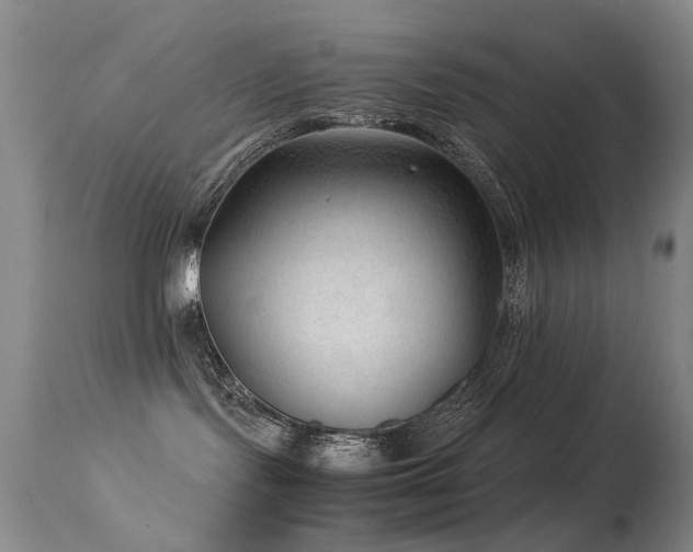 X0000113330095200909141437