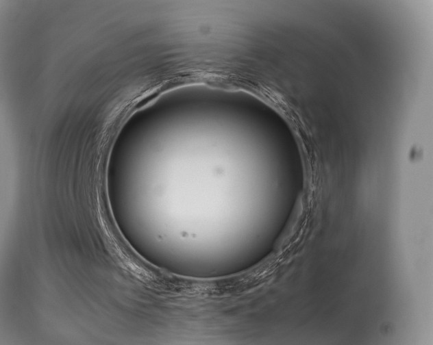 X0000113330097200909141436