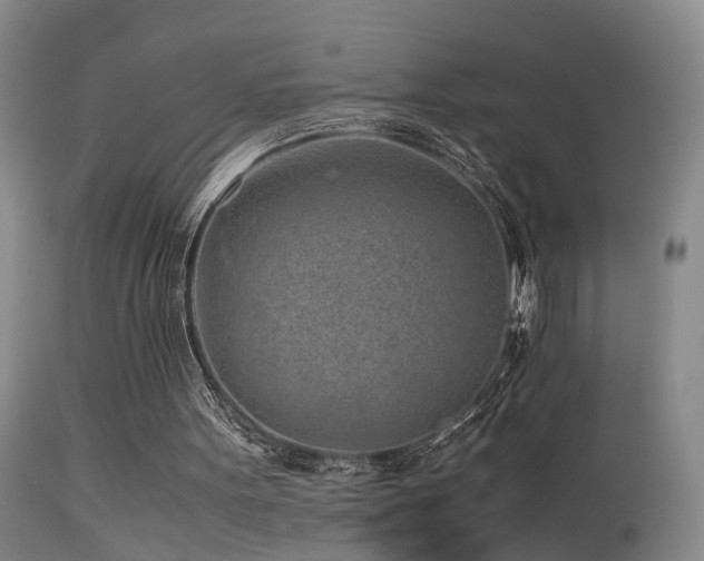 X0000113330099200909141436