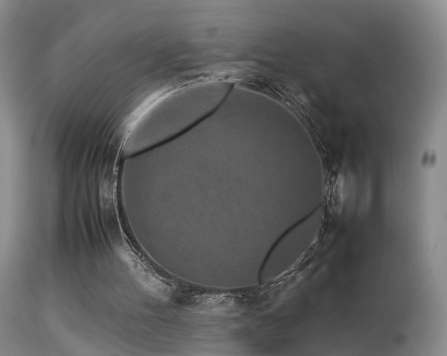 X0000113330100200909141436