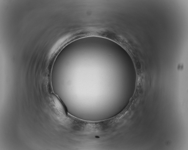 X0000113330101200909141436