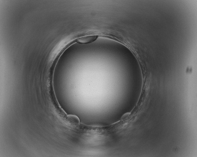 X0000113330103200909141436