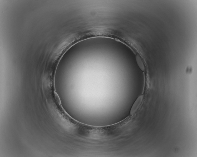 X0000113330105200909141436