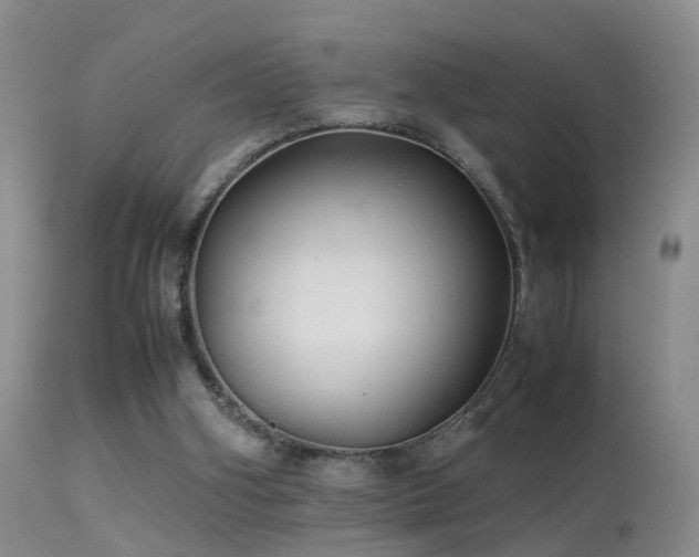 X0000113330106200909141436