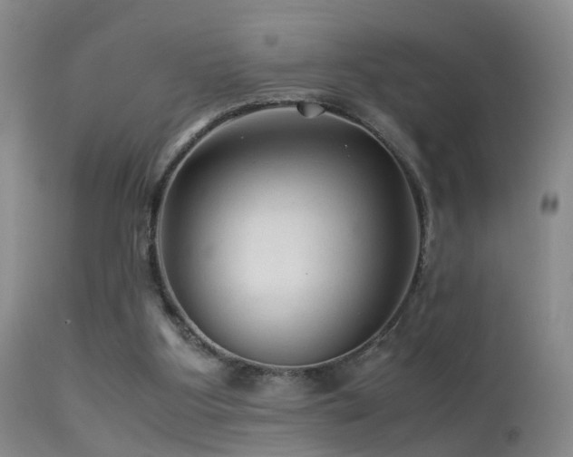 X0000113330107200909141436