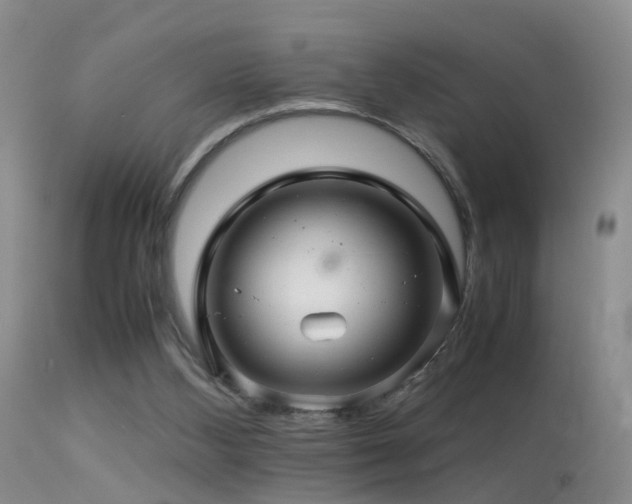 X0000113330108200909141436
