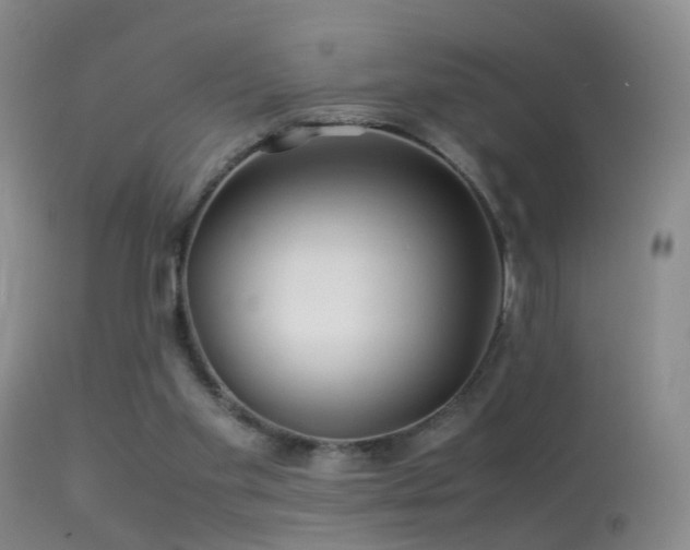 X0000113330109200909141436