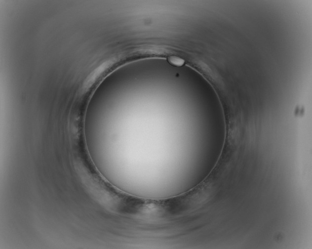 X0000113330111200909141436