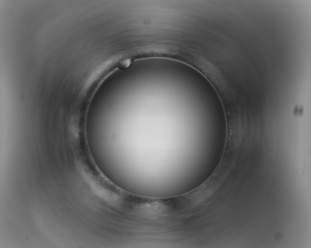 X0000113330112200909141436