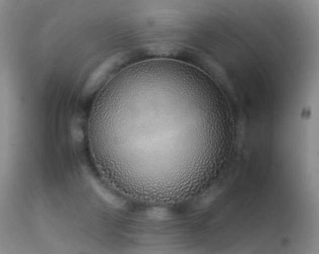 X0000113330114200909141436