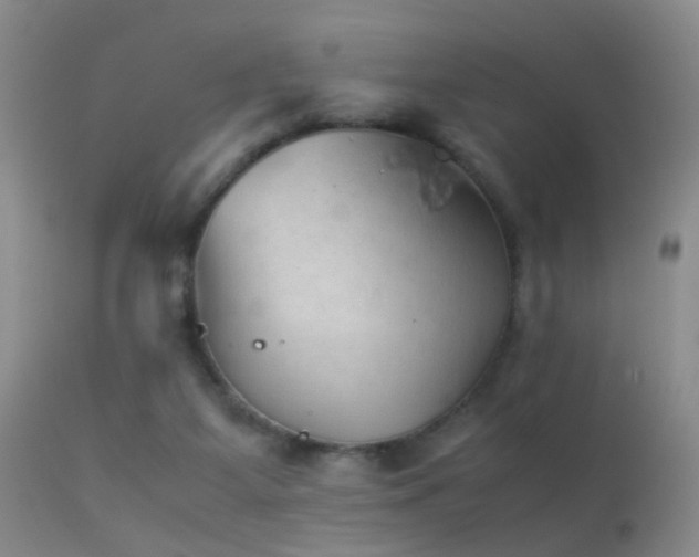 X0000113330115200909141436