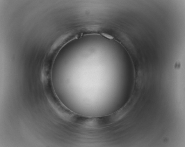 X0000113330116200909141436
