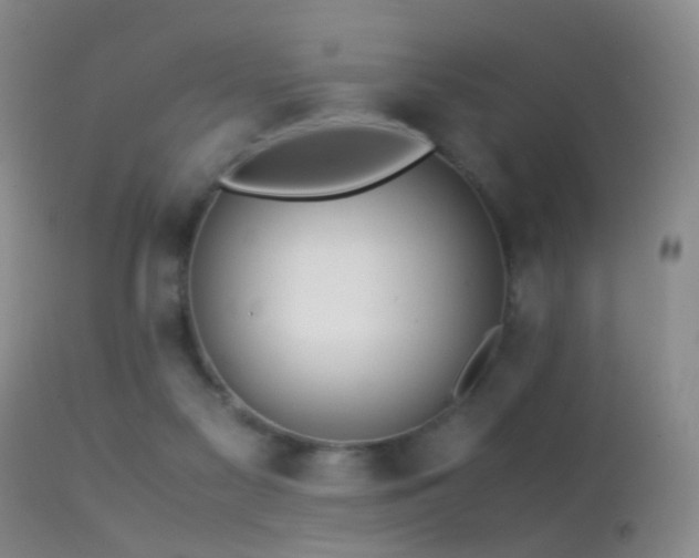 X0000113330117200909141436