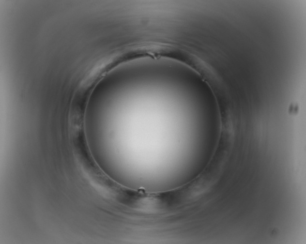 X0000113330119200909141436
