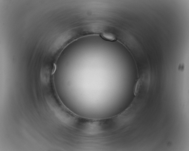 X0000113330120200909141436