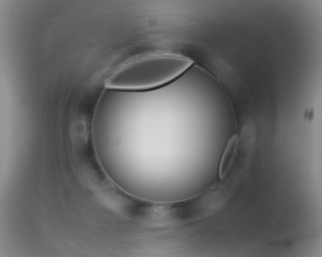 X0000113330121200909141436
