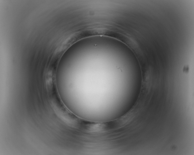 X0000113330122200909141436