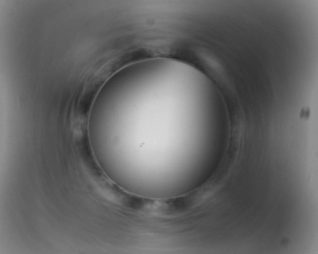 X0000113330125200909141436