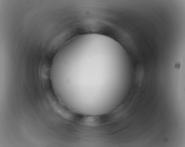 X0000113330126200909141436