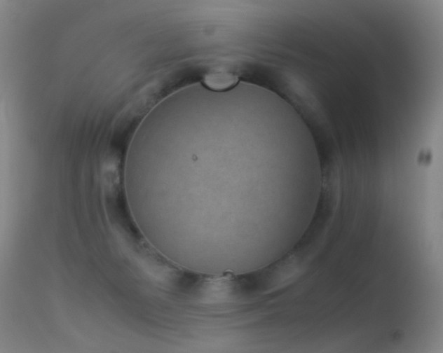 X0000113330127200909141436