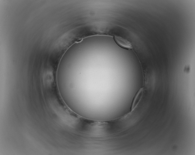 X0000113330128200909141436