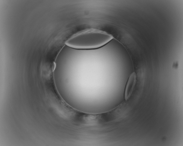 X0000113330129200909141436