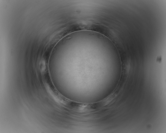 X0000113330130200909141436
